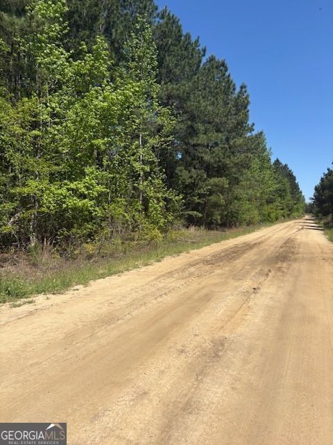 Property Photo: 0 Mt Pleasant Church Road Parcel A GA 31071