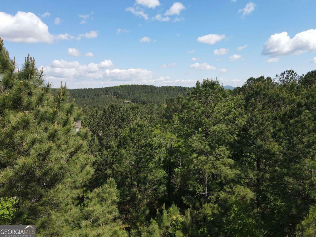 Property Photo: Lot 379 Marshall Rise Road GA 30512