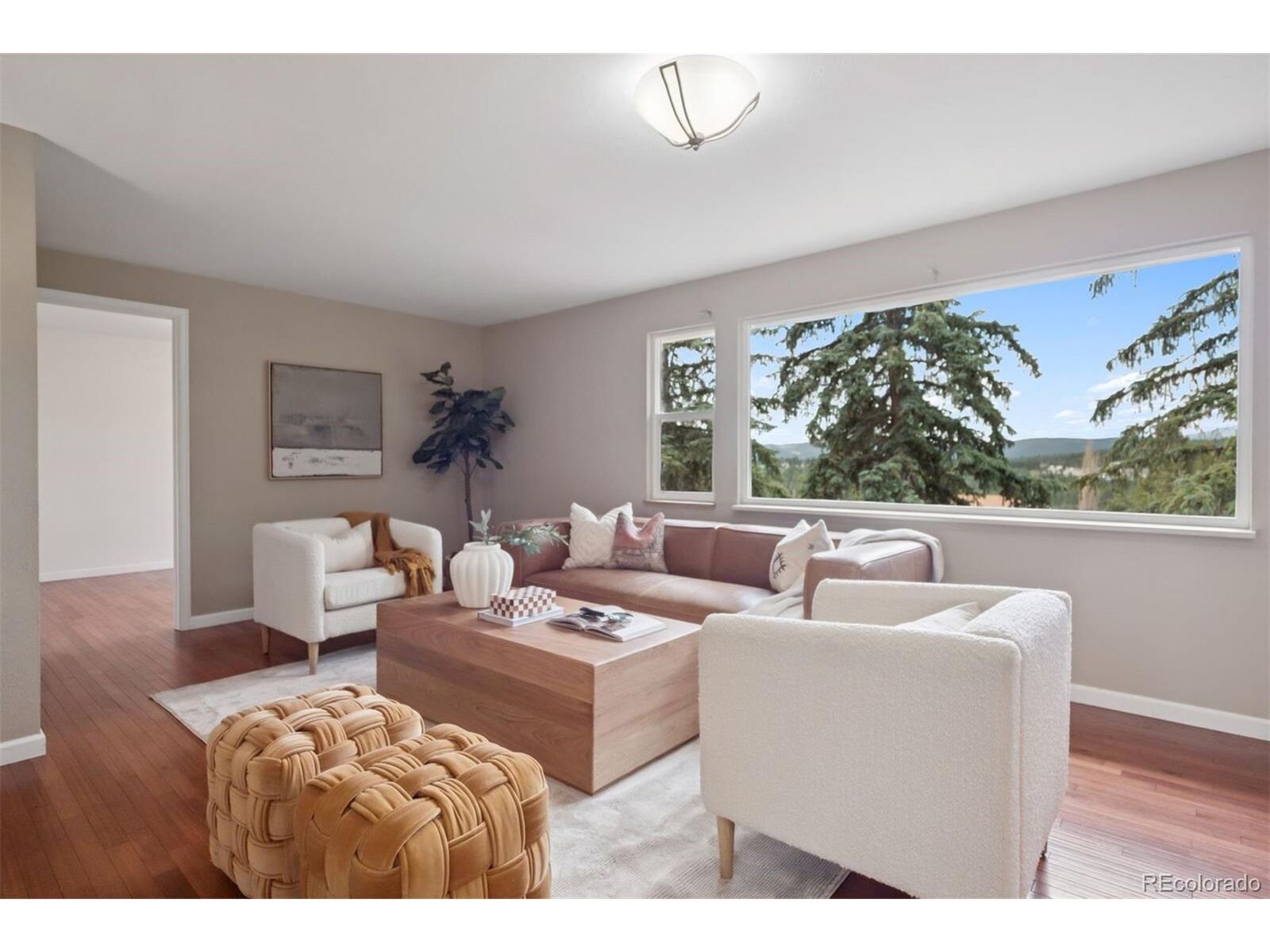 Property Photo:  30321 Chestnut Dr  CO 80439 