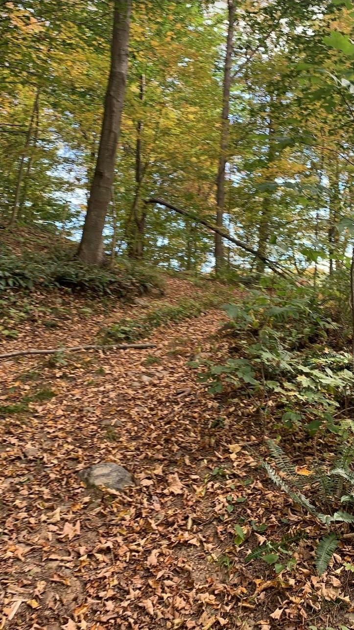 Property Photo: 34 Gordon Road NY