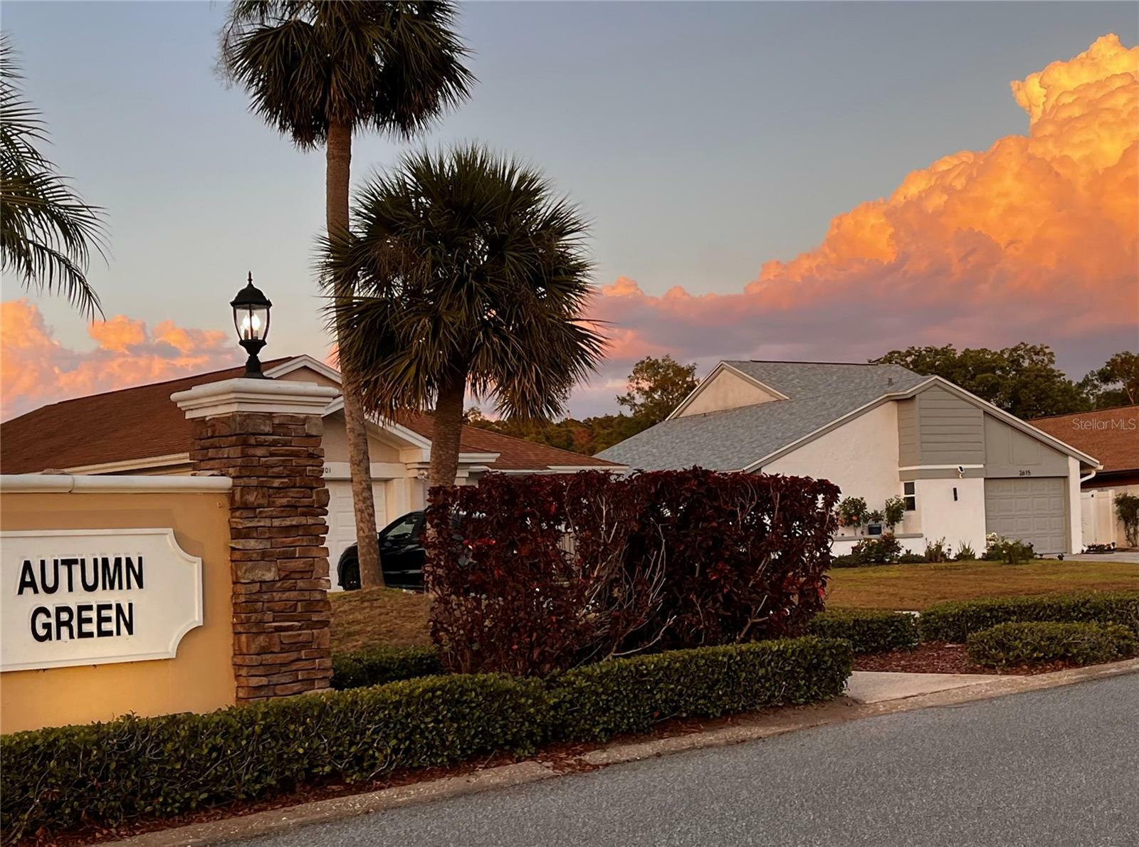 Property Photo: 2615 Autumn Green Drive FL 32822