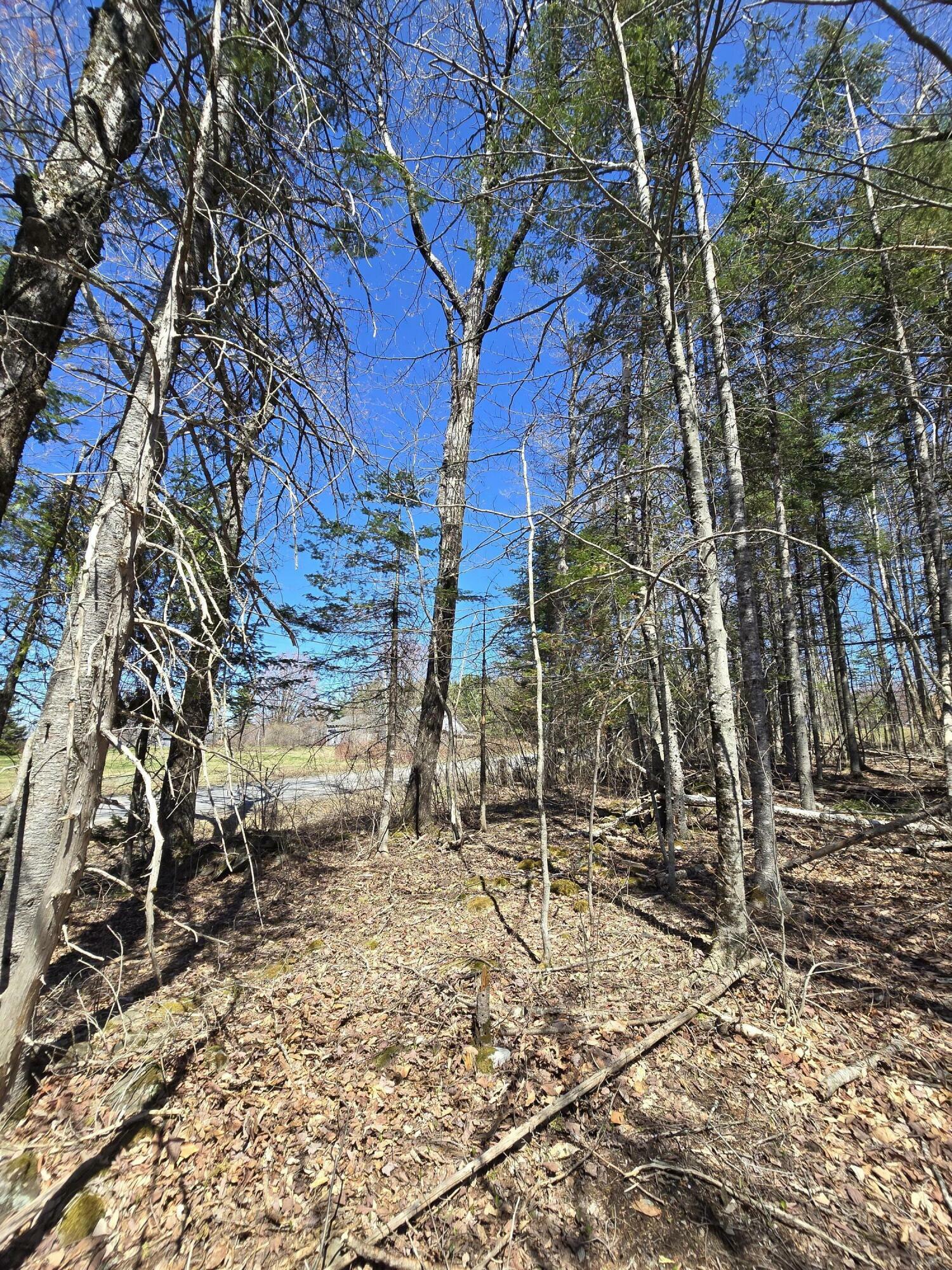 Property Photo: 00 Grant Road ME 04479