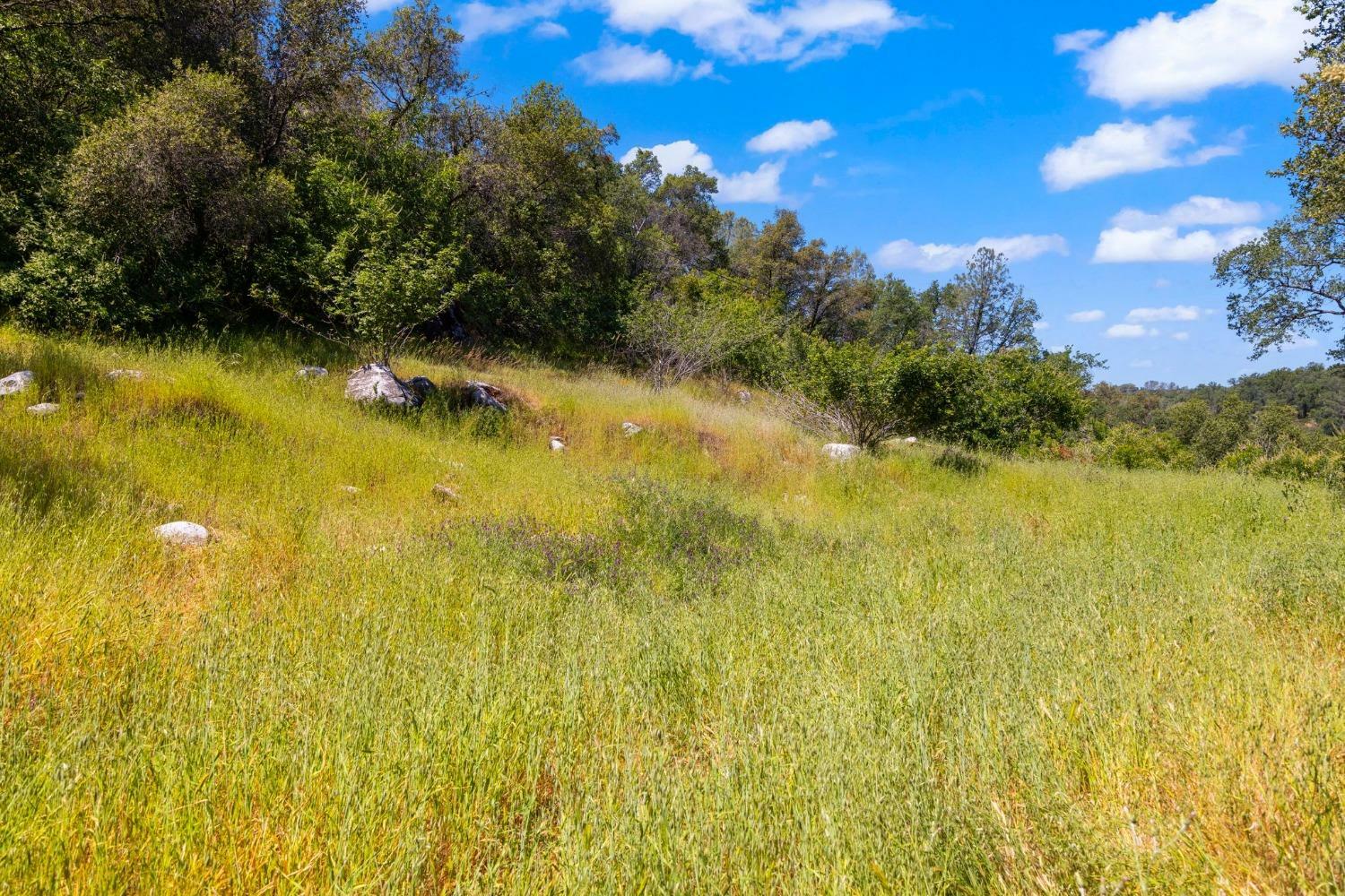 Property Photo: 18085 Lime Rock Drive CA 95370