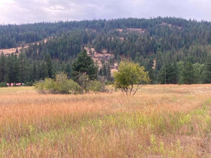 Property Photo:  3349 Rockcut Rd  WA 99141 