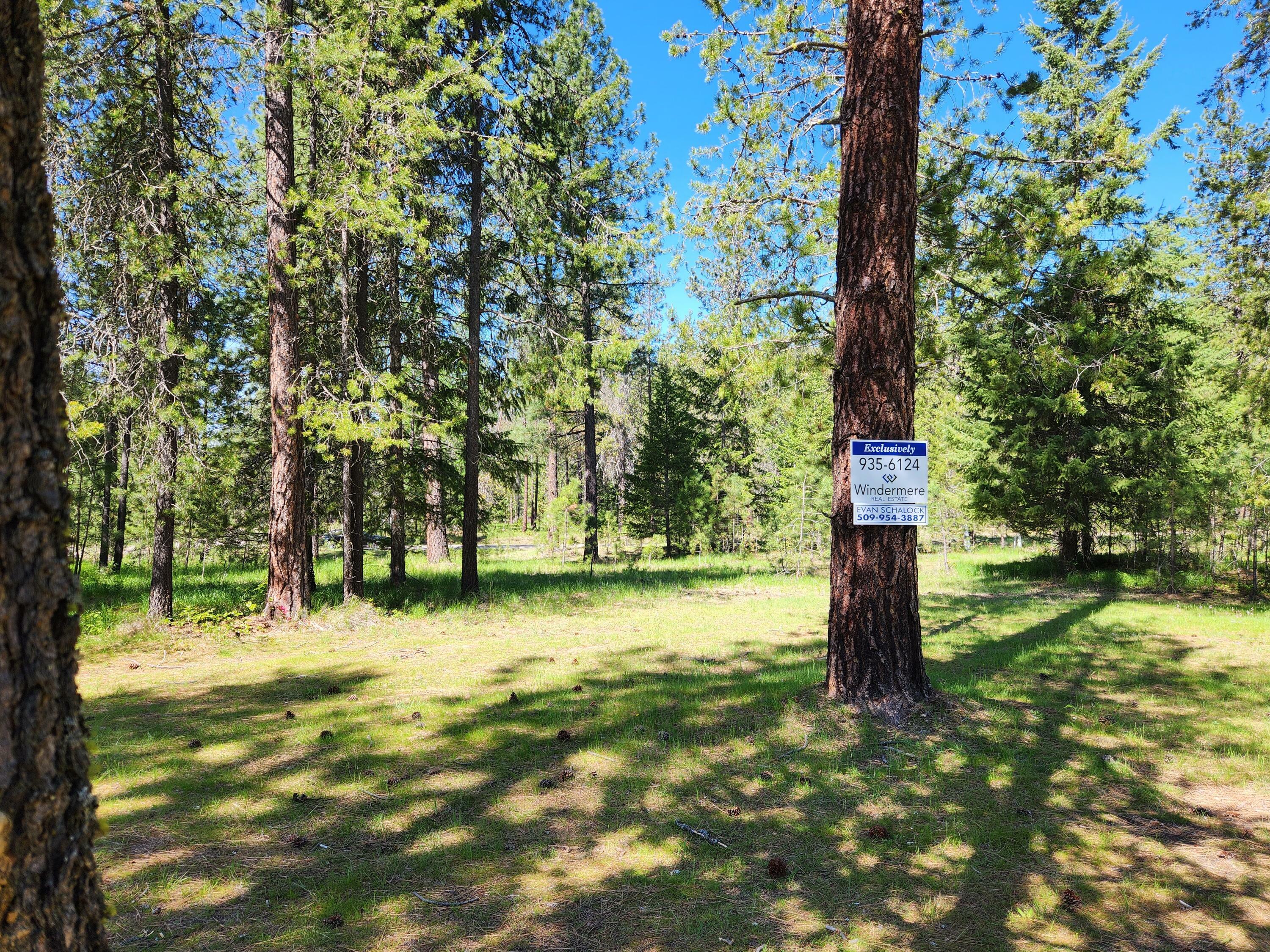 Property Photo: Lot 4 Couples Ct WA 99109