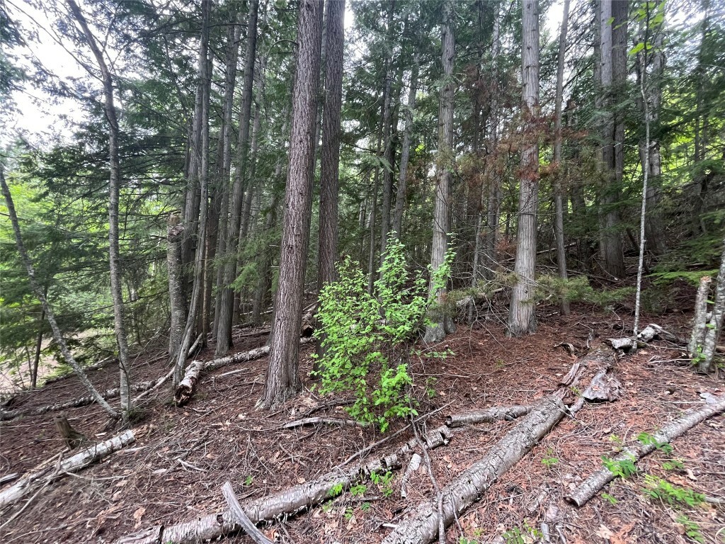 Photo de la propriété: Lot 37 Vickers Trail BC V0E 1M8