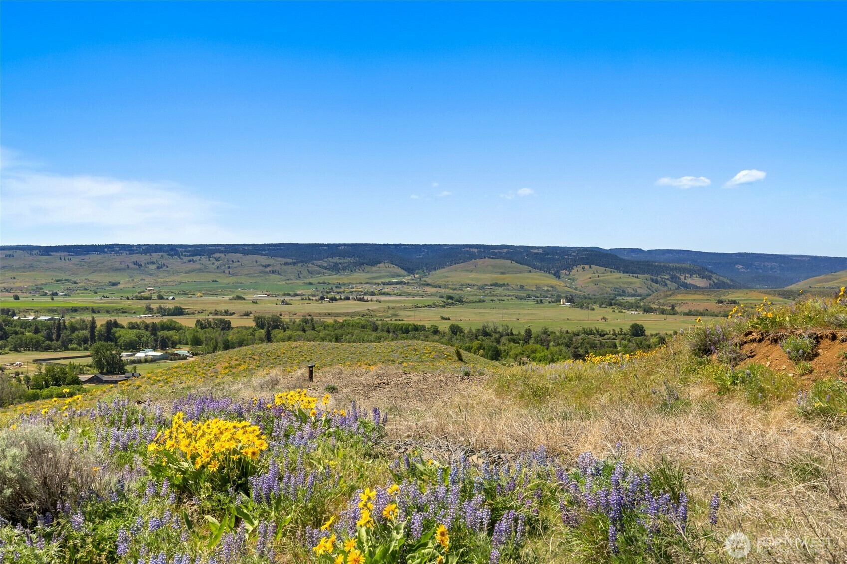 Property Photo: 0 Xxx Indian Lake Drive WA 98926