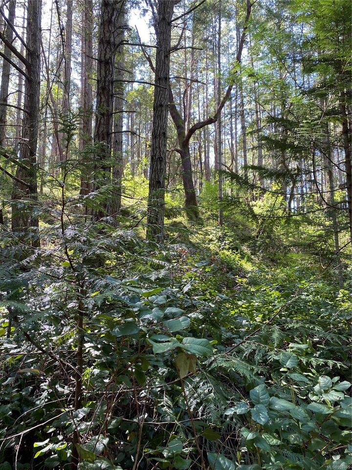 Property Photo: Lot 36 Ruxton Island BC V0V 0V0