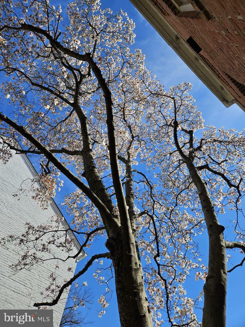 Property Photo: 1162 N Pitt Street VA 22314