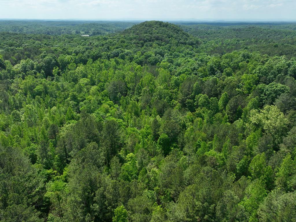 Property Photo: 0 Apple Road GA 30734