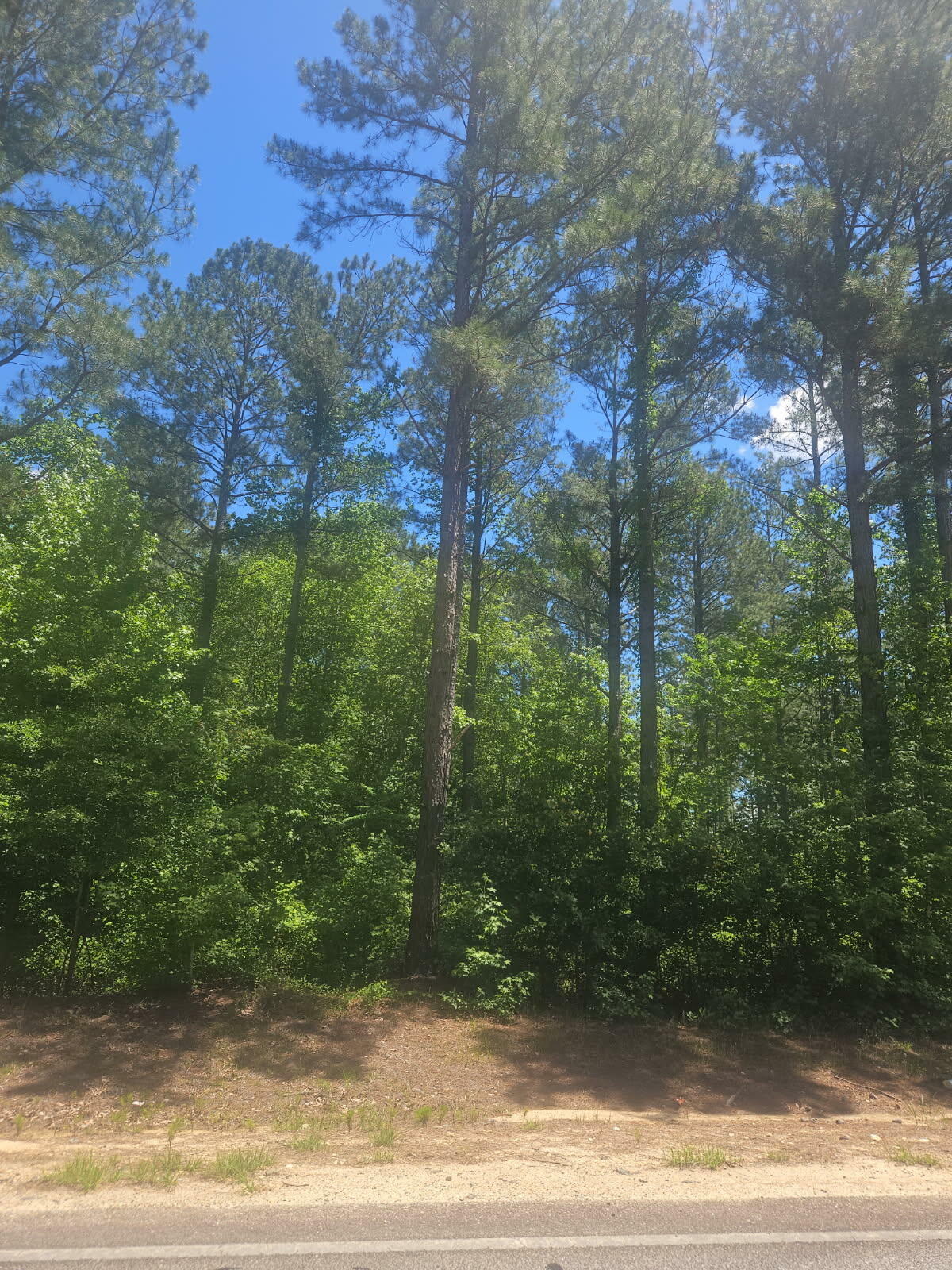 Property Photo: Lot 6 Ga Highway 123 GA 30820