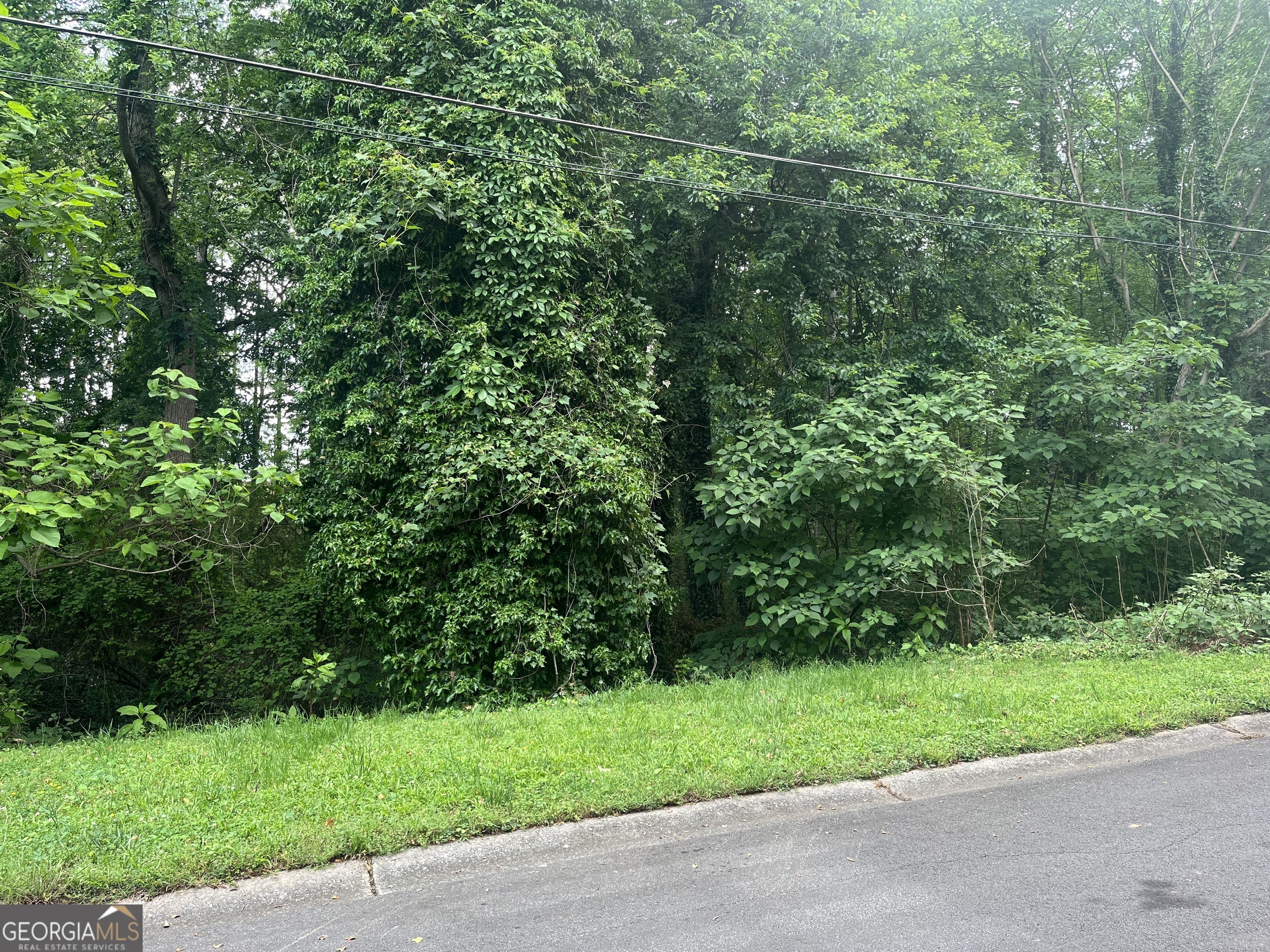 Property Photo: 1528 Kings Road GA 30062