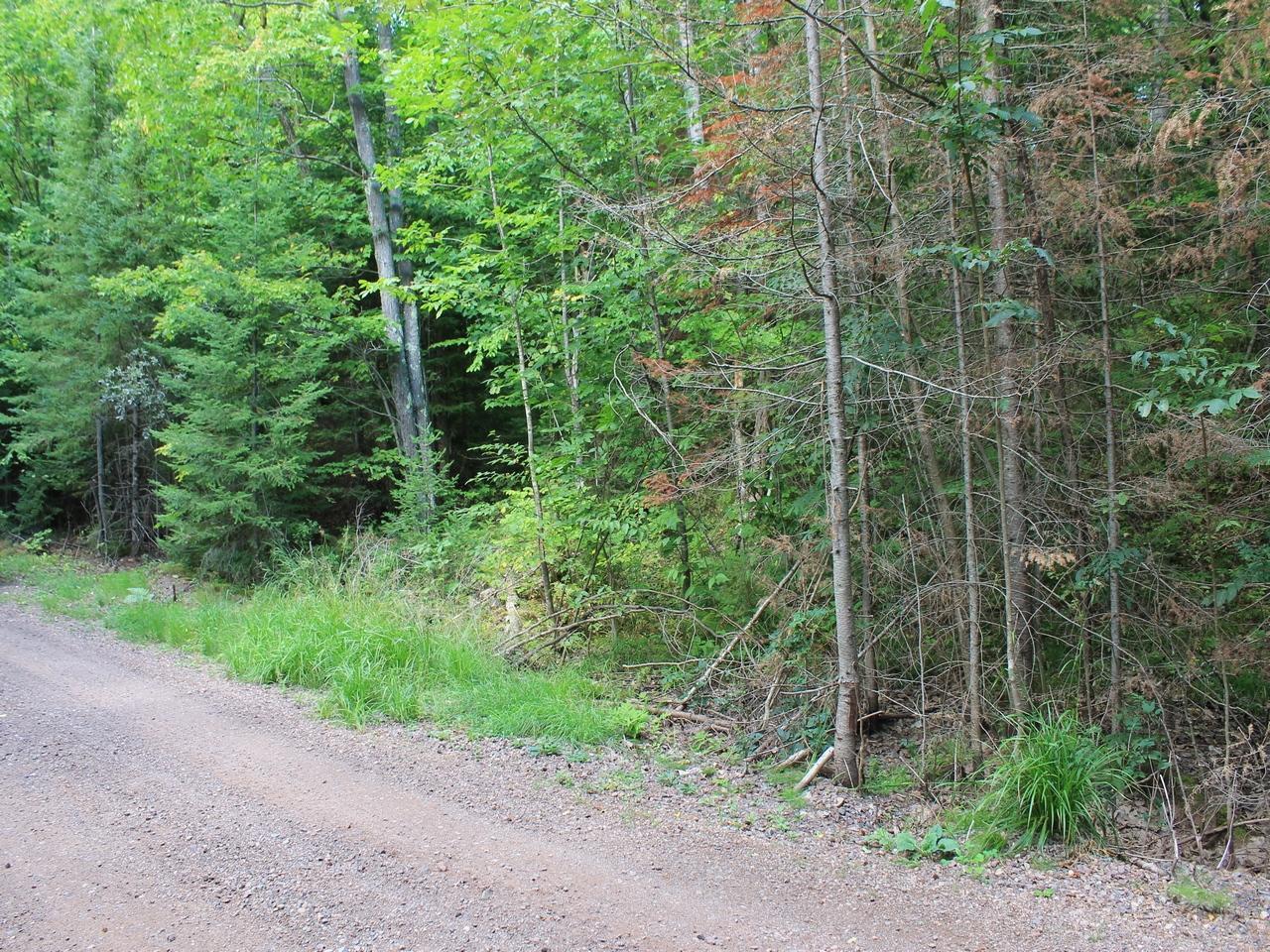 Property Photo:  Lot 15 Alpine Dr  WI 54565 