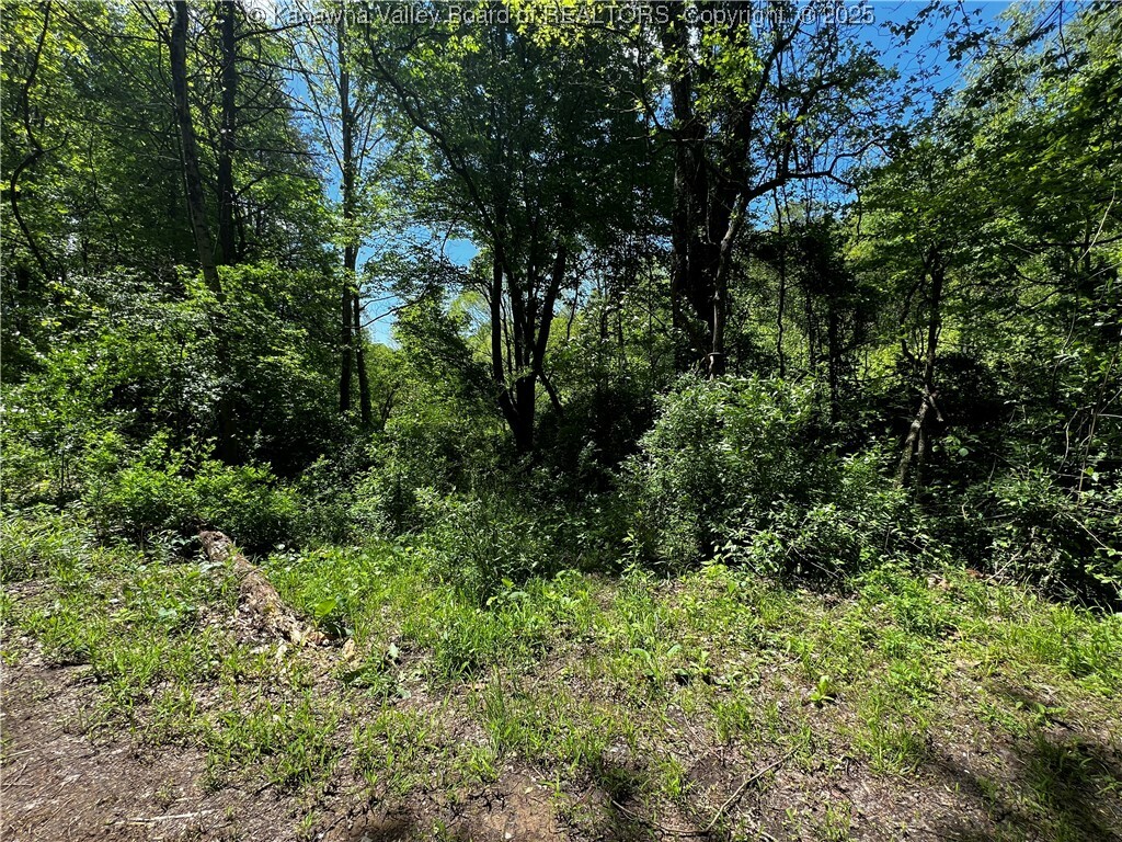 Property Photo: 0 Lts Plantation Road WV 25312