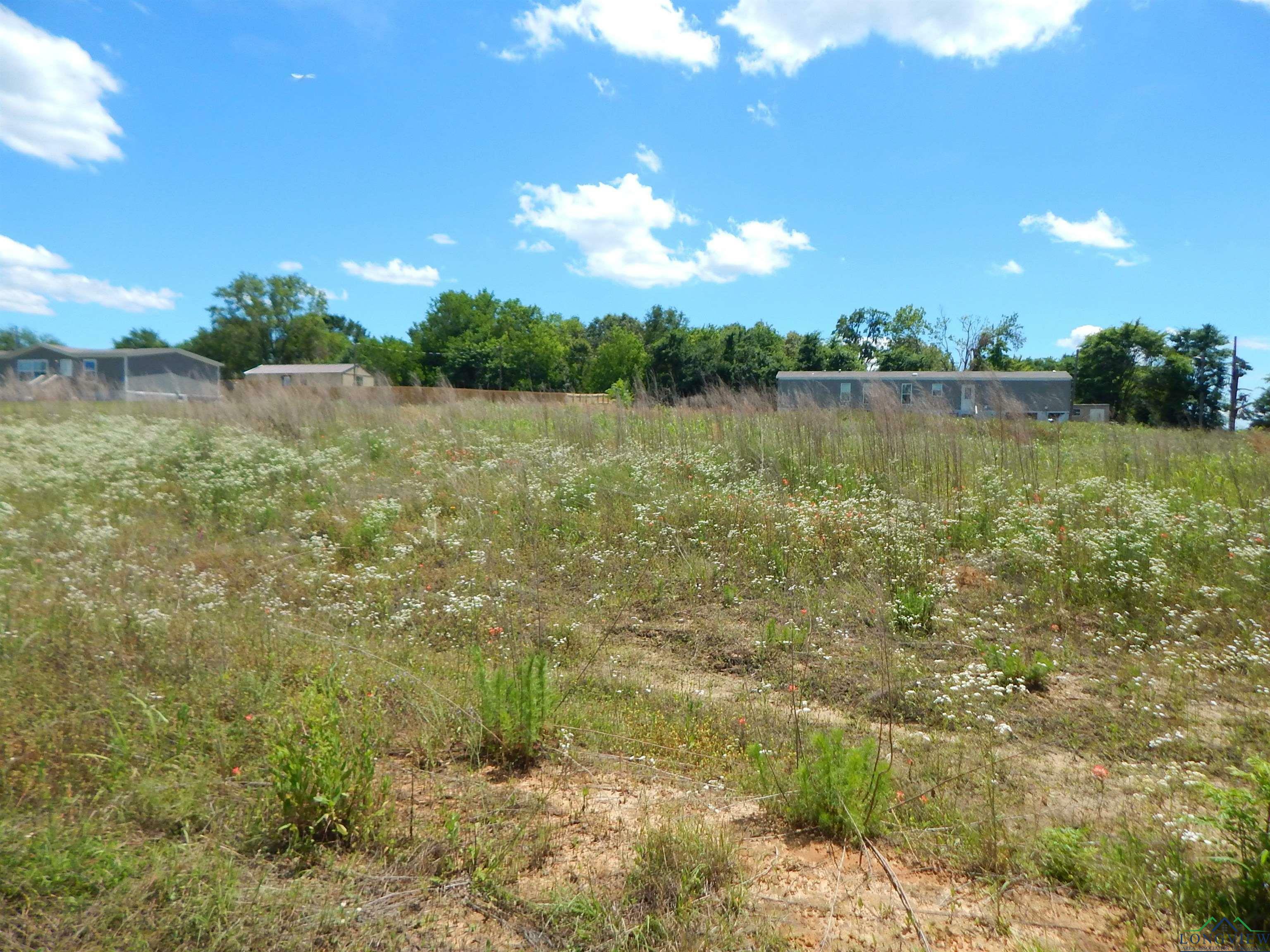 Property Photo:  Tbd Lot 7 Zela Rd.  TX 75644 