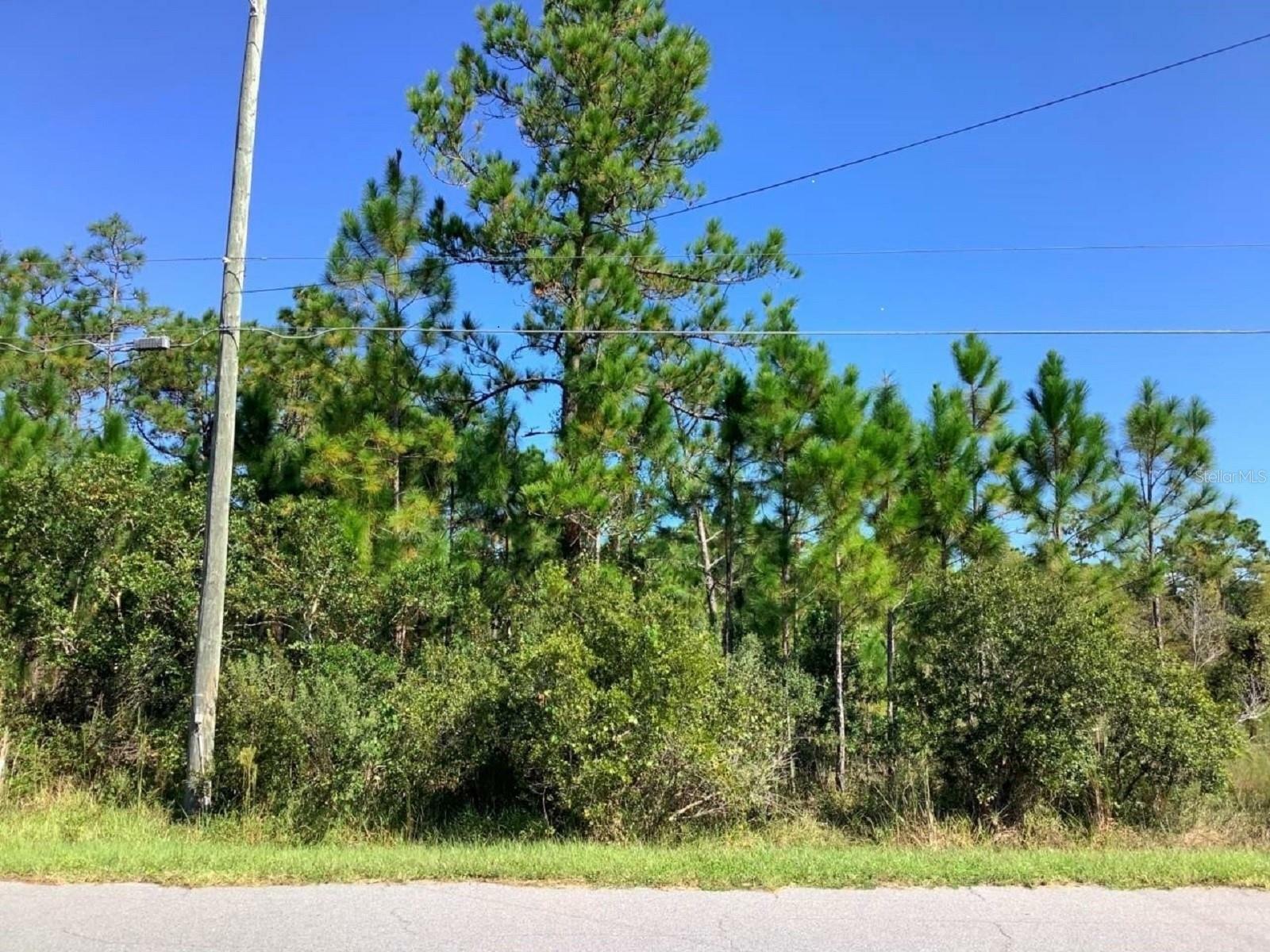 Property Photo: 00000 Sheldon Street FL 32833