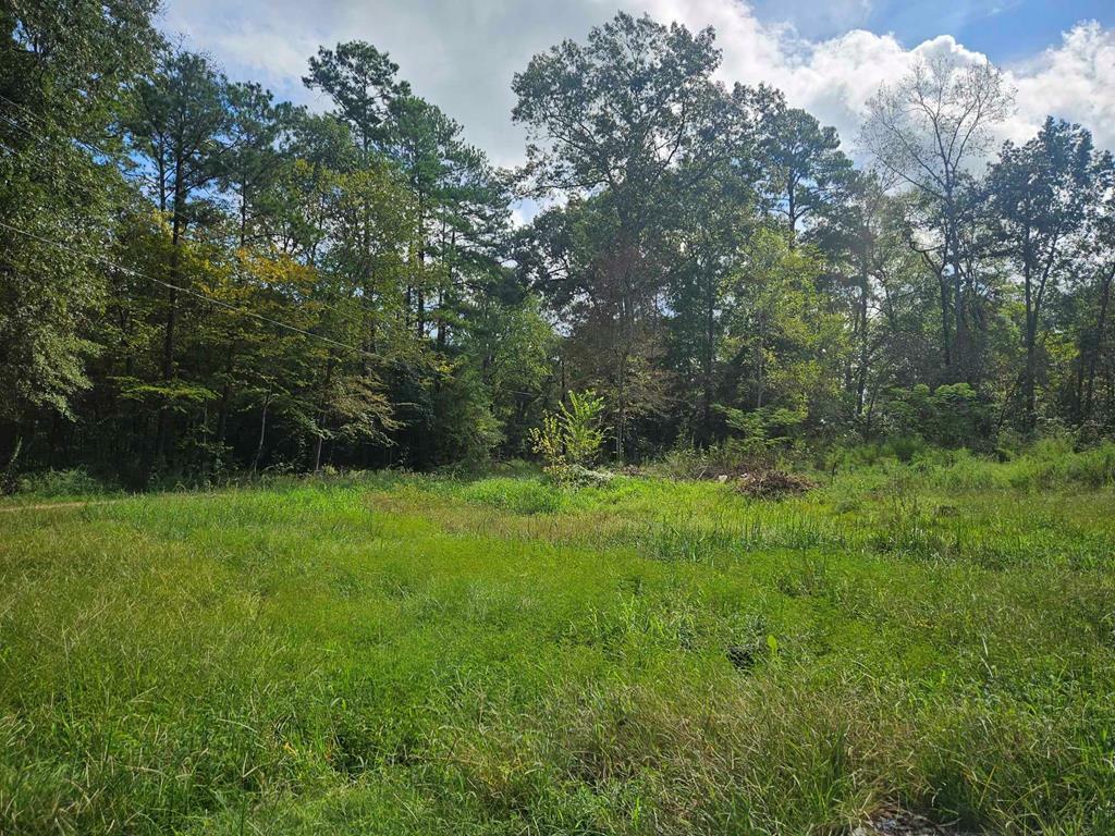 Property Photo: 245 Red Cedar Lane TX 75949