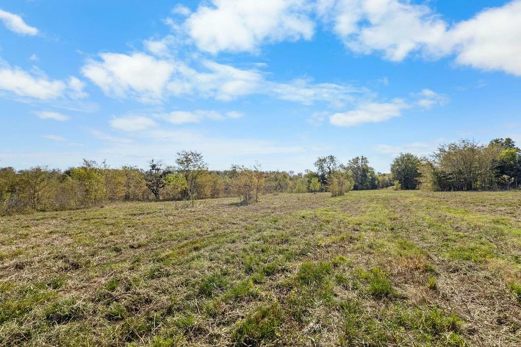 Property Photo: 2353 County Road 4225 TX 75441
