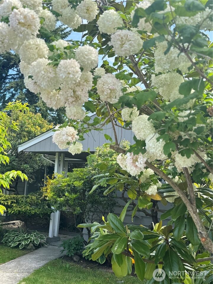 Property Photo: 2509 SW Portland Court WA 98106