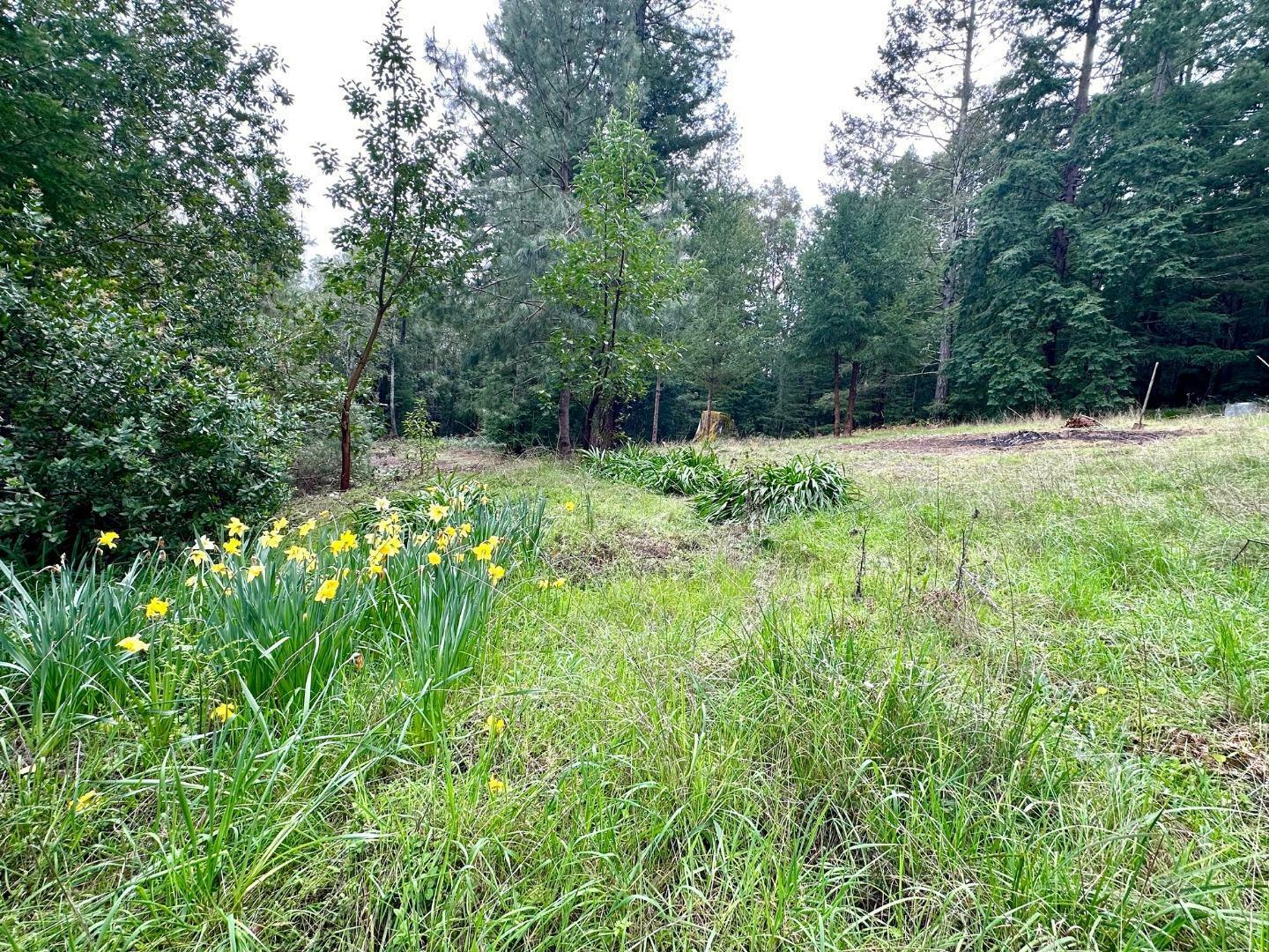 Property Photo: 0 Eureka Canyon Road CA 95076