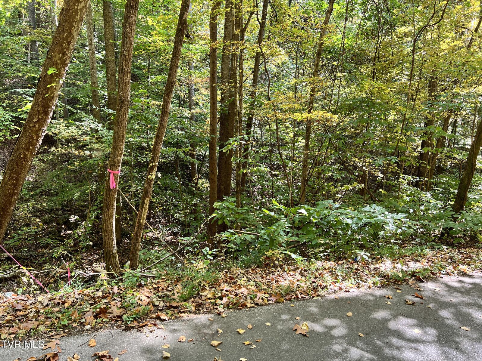 Property Photo: 1875 Dyer Hollow Road TN 37810