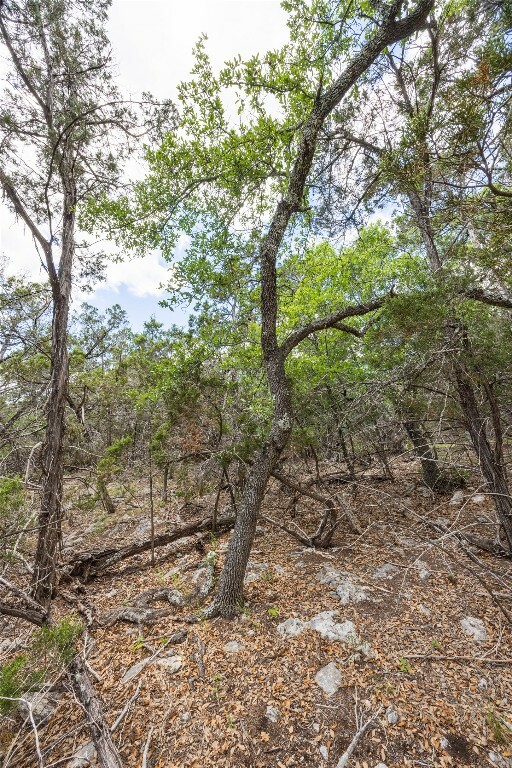 Property Photo: Tbd Cheyenne Trail Trail TX 78676