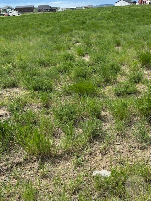 Property Photo: 3863 Glenn Edward MT 59067