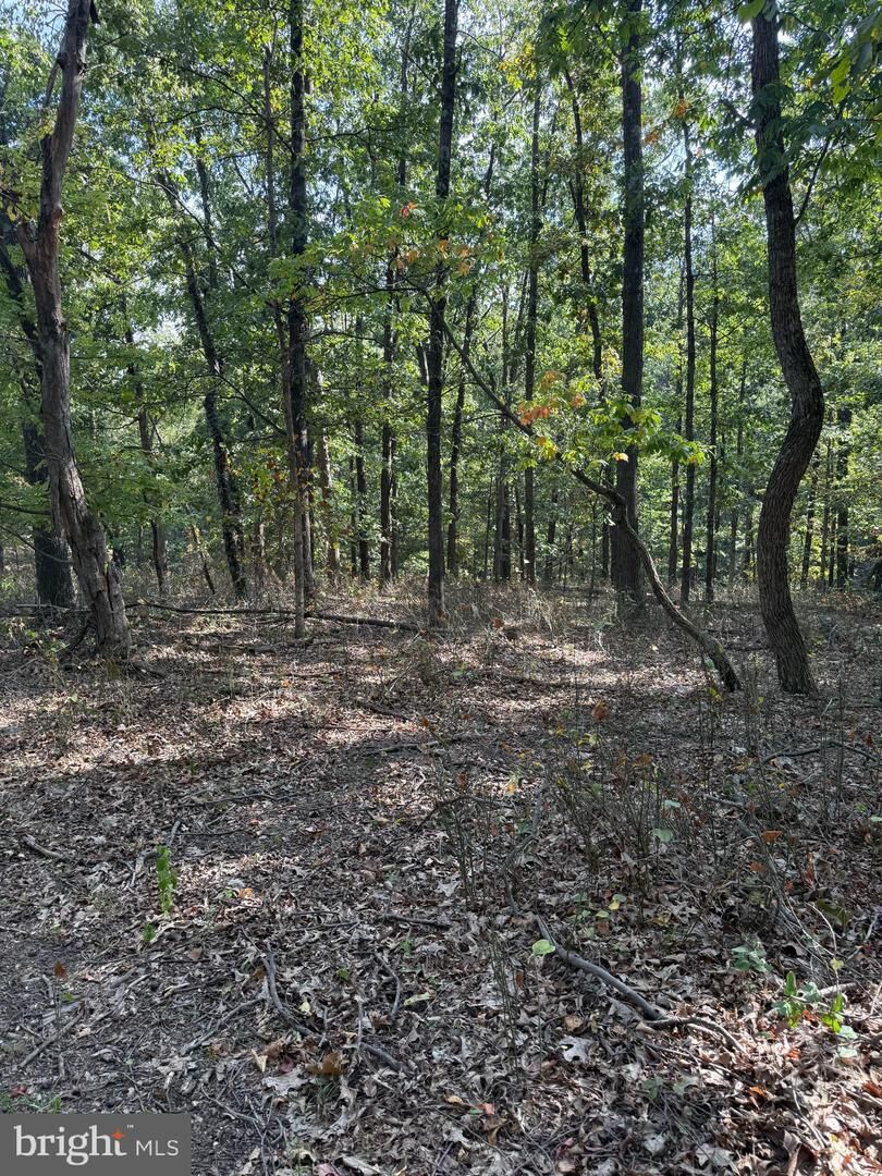 Property Photo: Light Road VA 22603