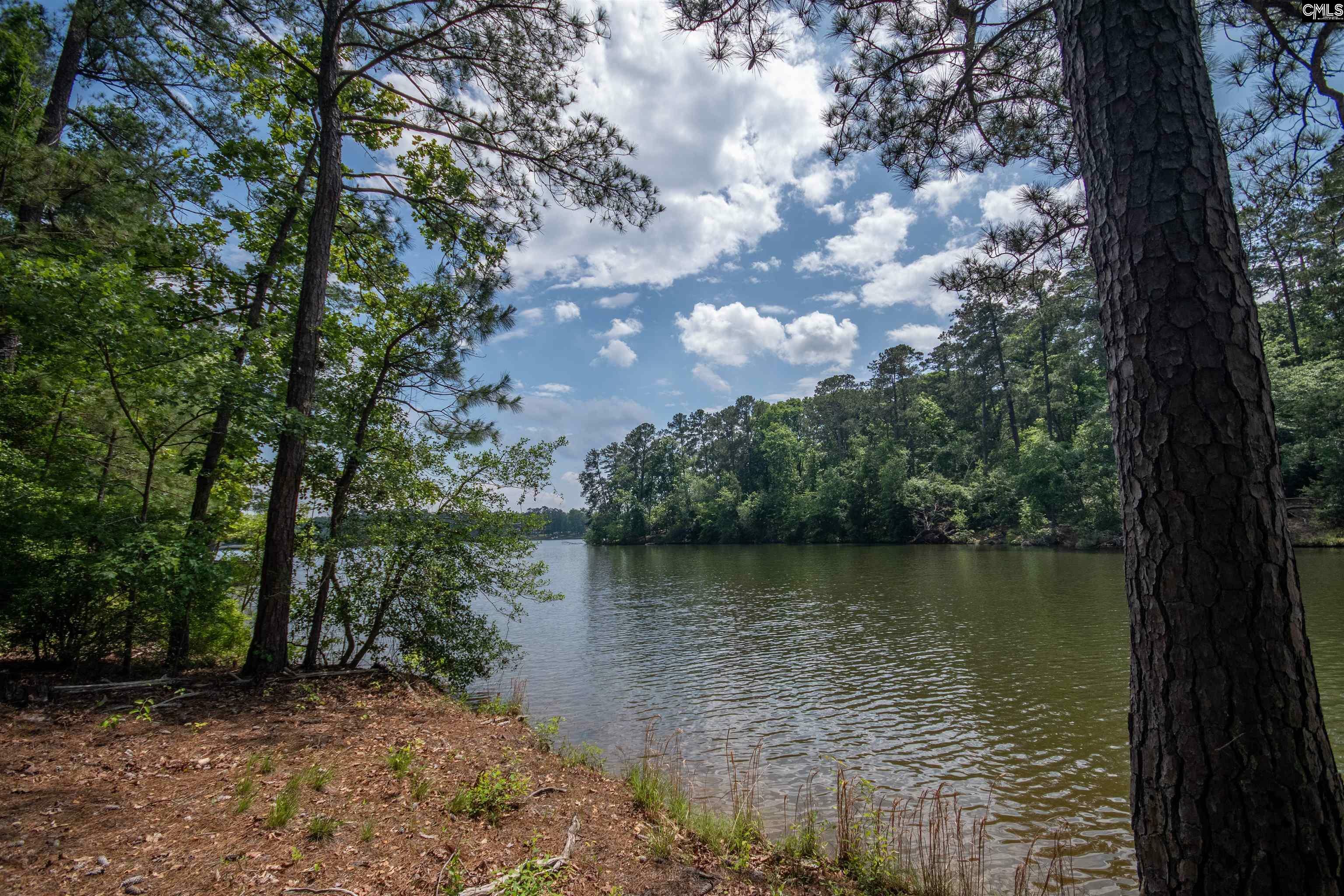 Property Photo: 281 Osprey Pointe SC 29127