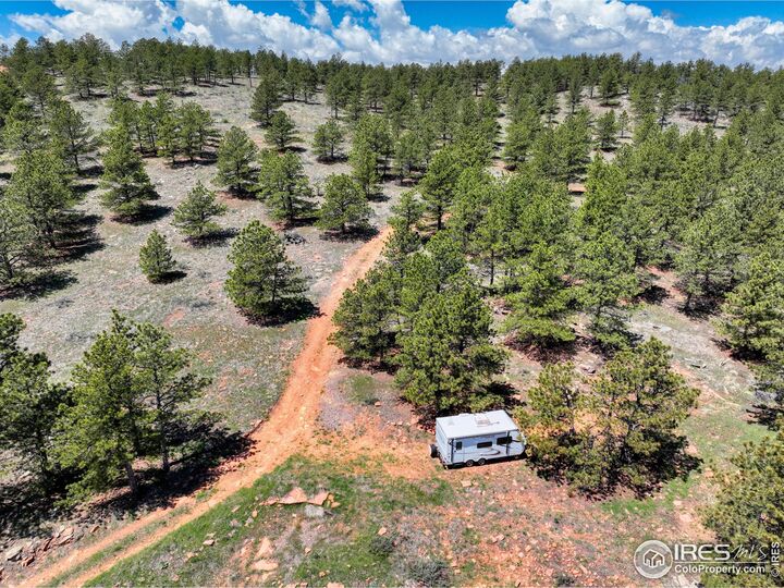 Property Photo:  101 Lewis Ln  CO 80503 