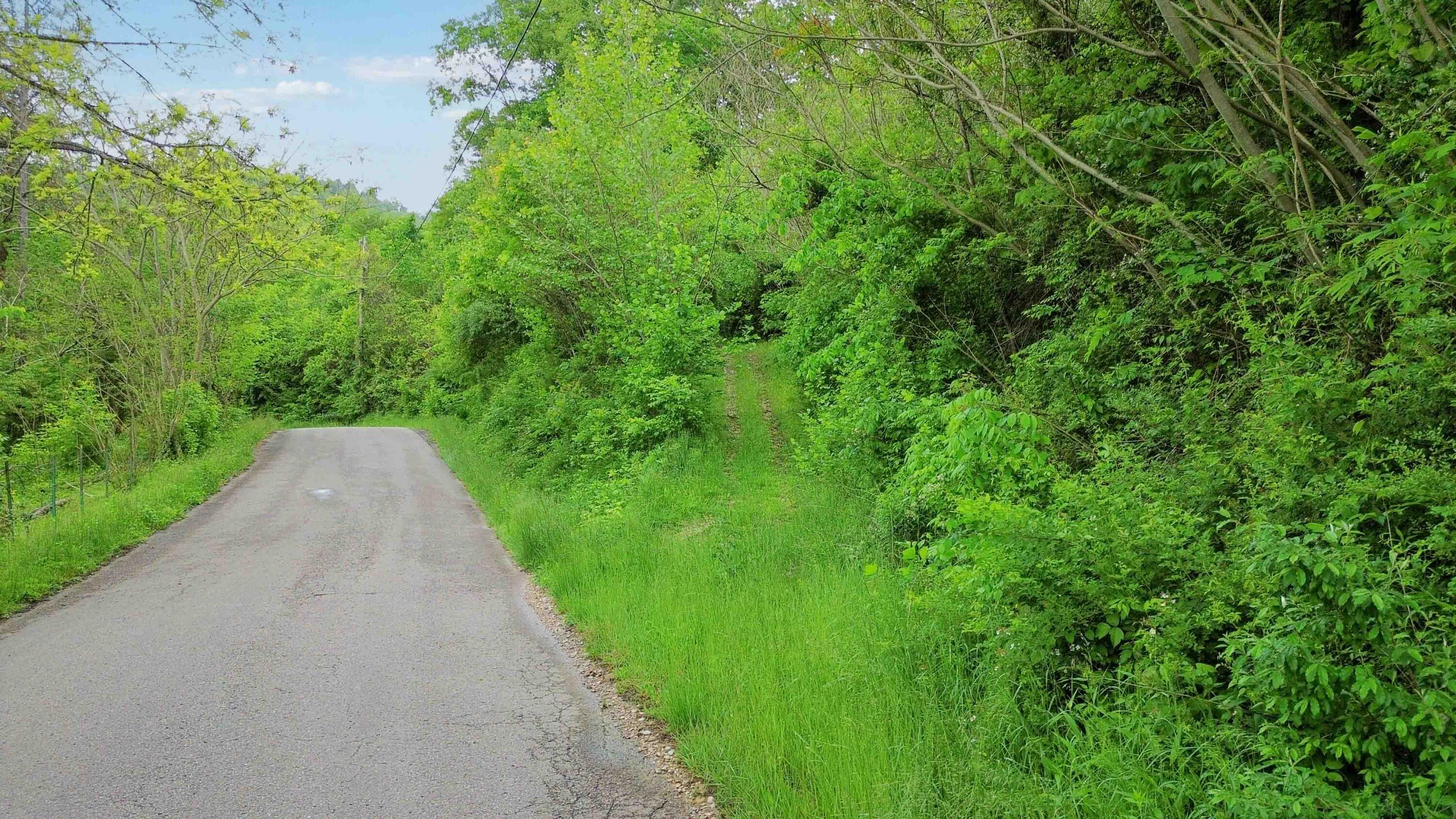 Property Photo: 0000 Little Wolf Creek Road KY 40769
