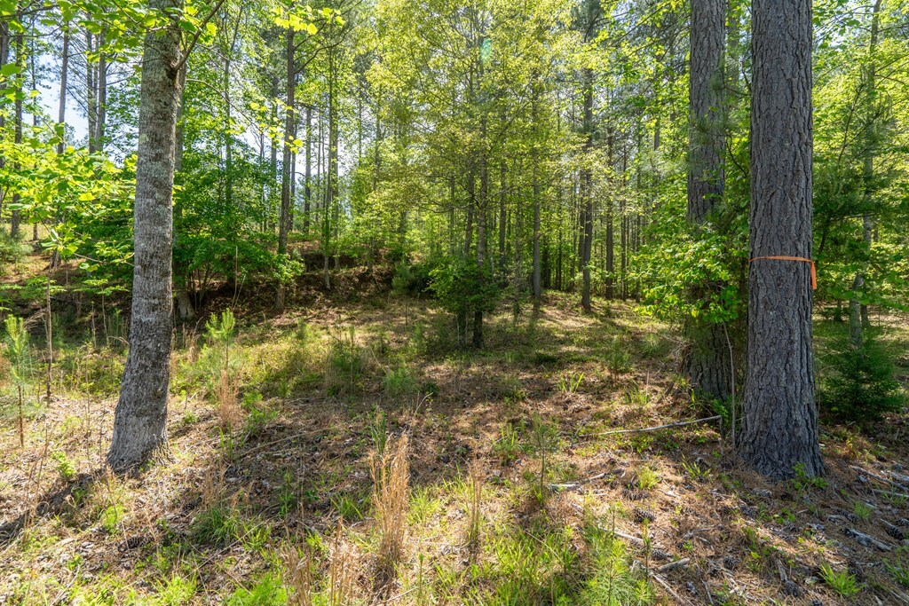 Property Photo: Lot 132 Sandy Lake Lane GA 30512