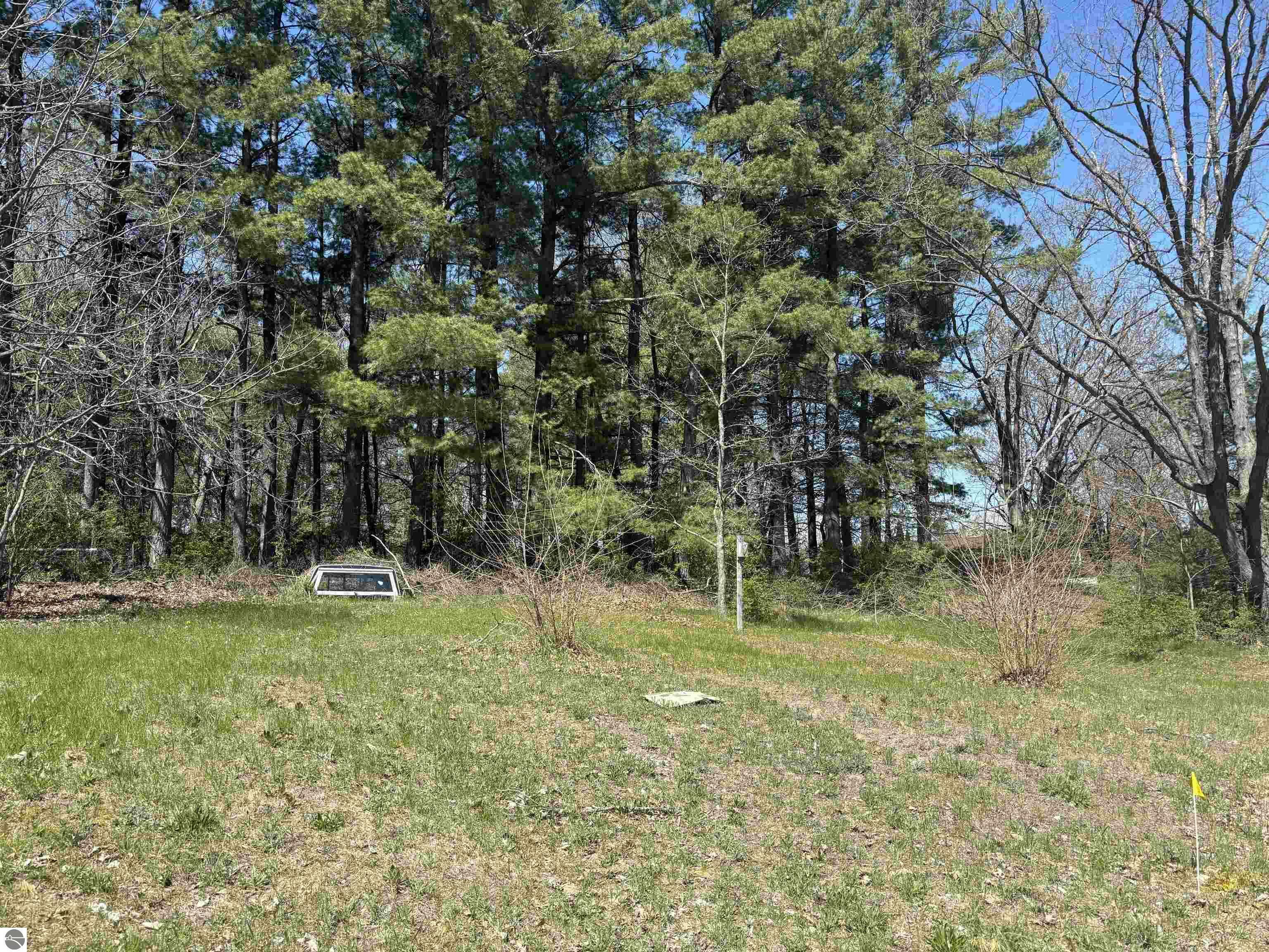 Property Photo: V/L Division Street MI 49601