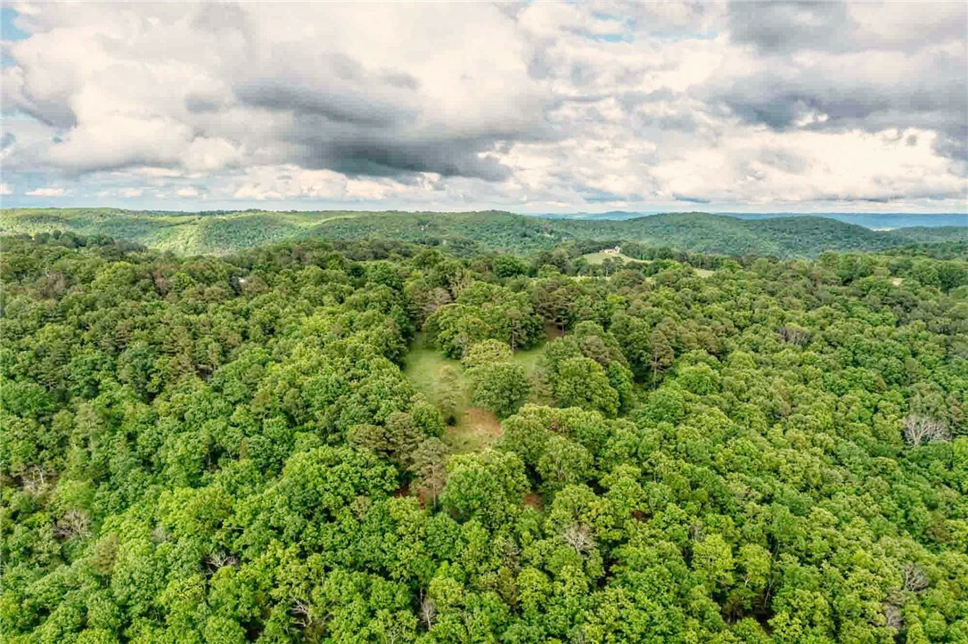 Property Photo: 13135 Cobb Road AR 72662