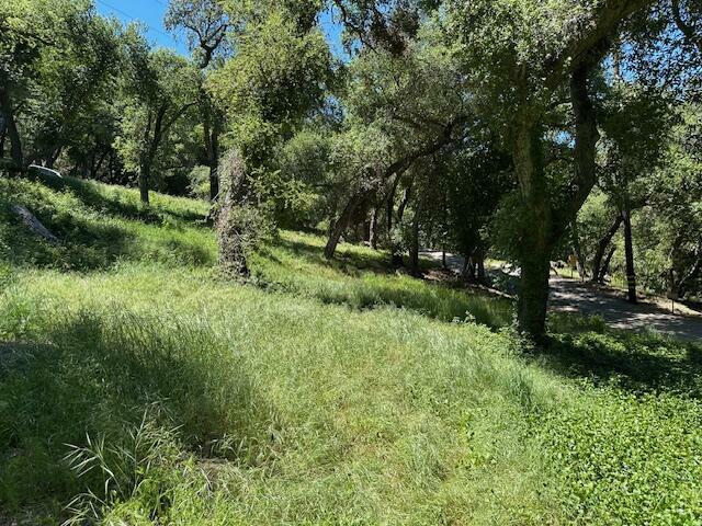 Property Photo: 290-292 Rosario Park Road CA 93105
