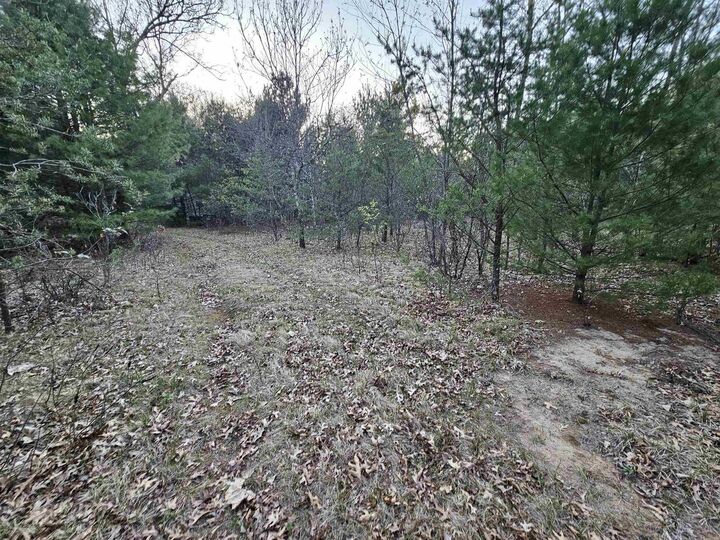 4159 8th Avenue  Wisconsin Dells WI 53965 photo