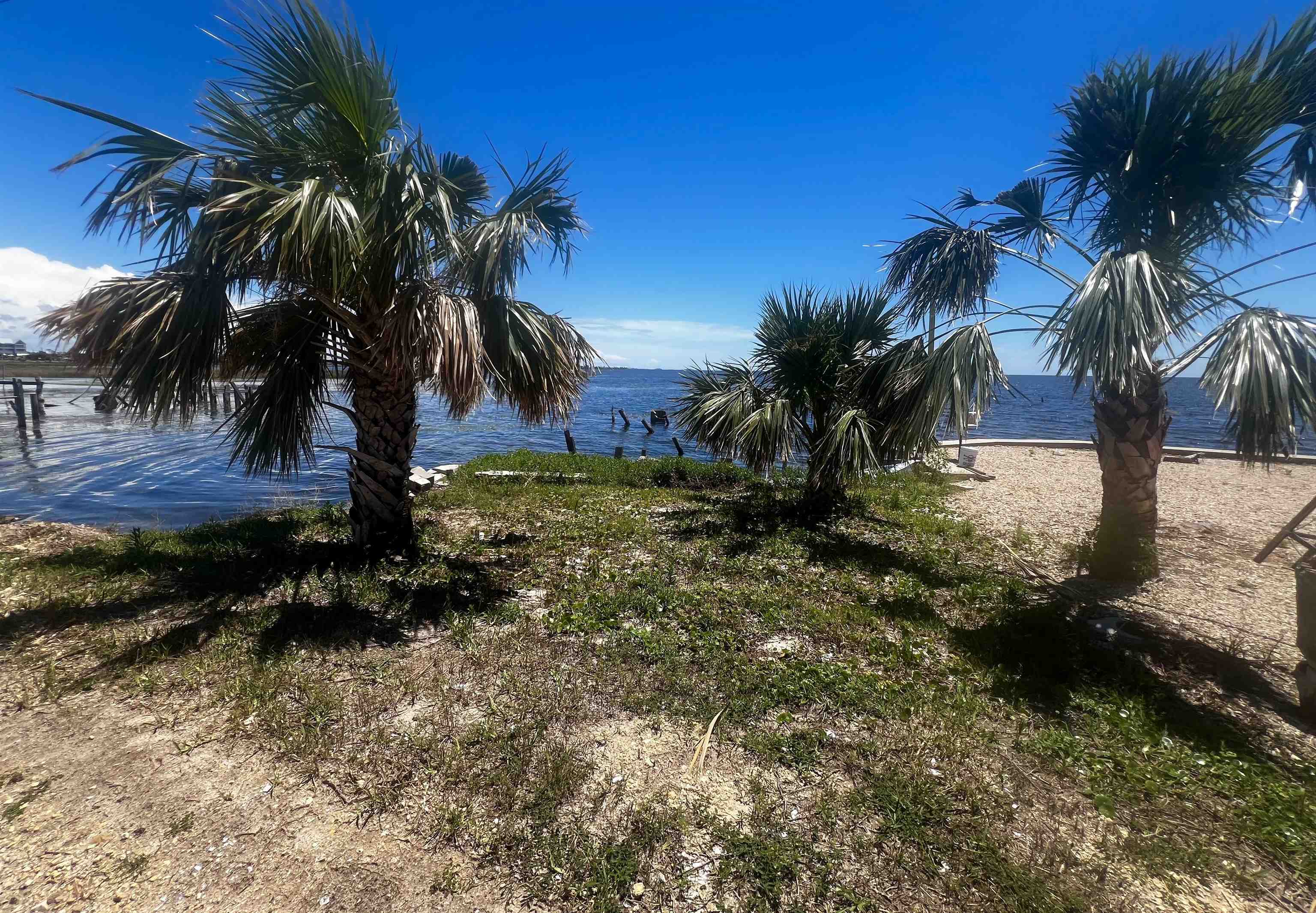 Property Photo: 1836 Ezell Beach Road FL 32348-0000