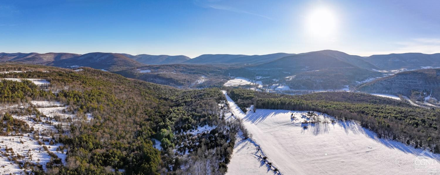 Property Photo: 6684 Route 23C NY 12468