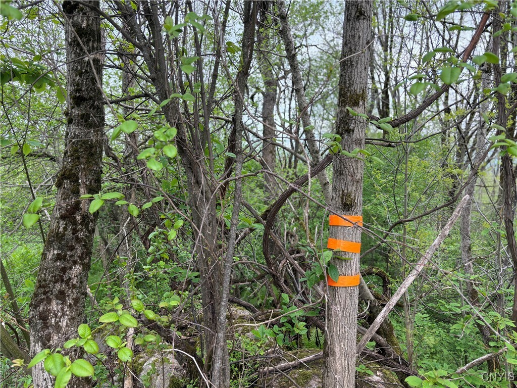 Property Photo: Sulphur Springs Rd Road NY 13416