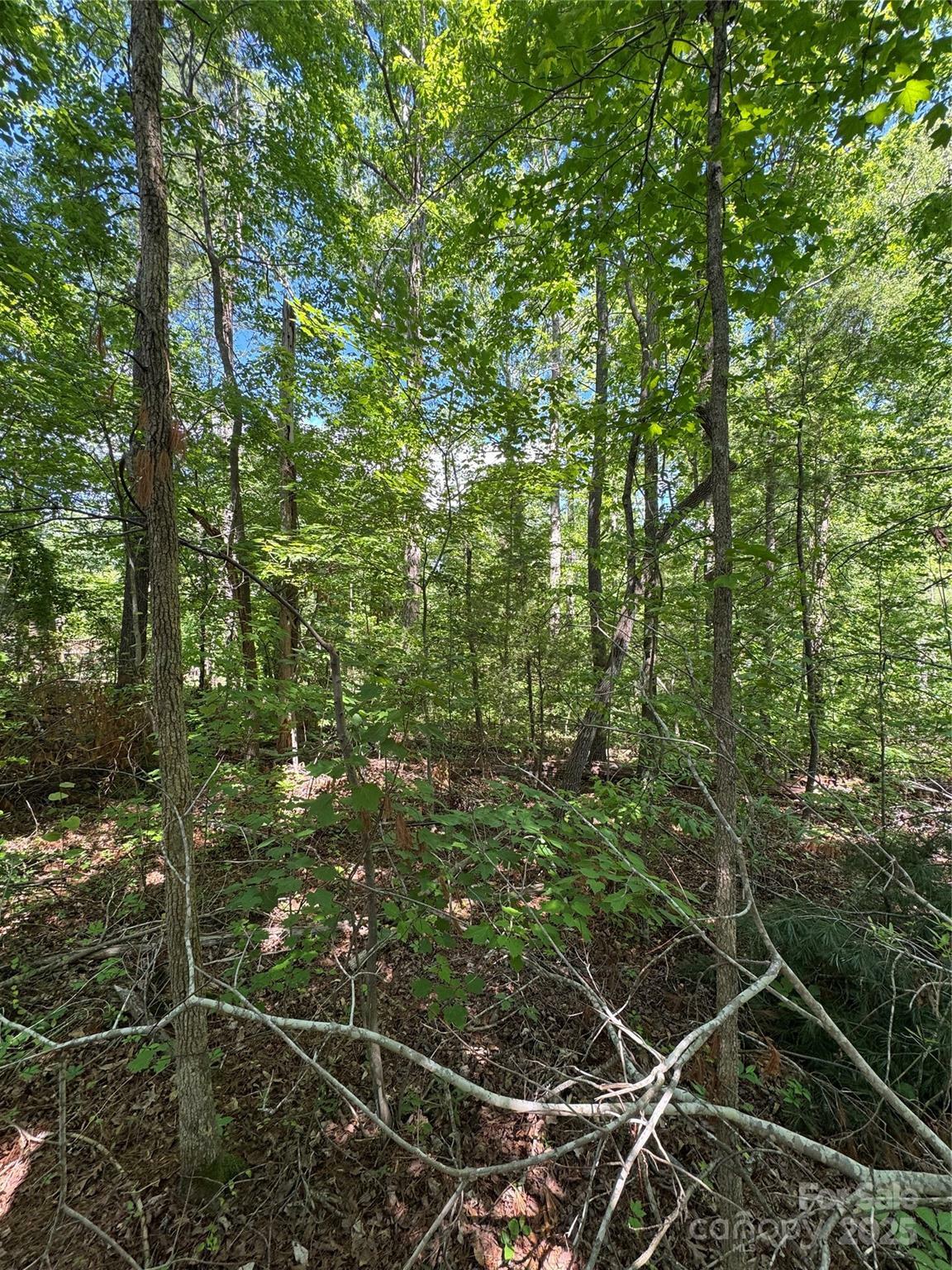 Property Photo: 0 Creekwood Drive NC 28655
