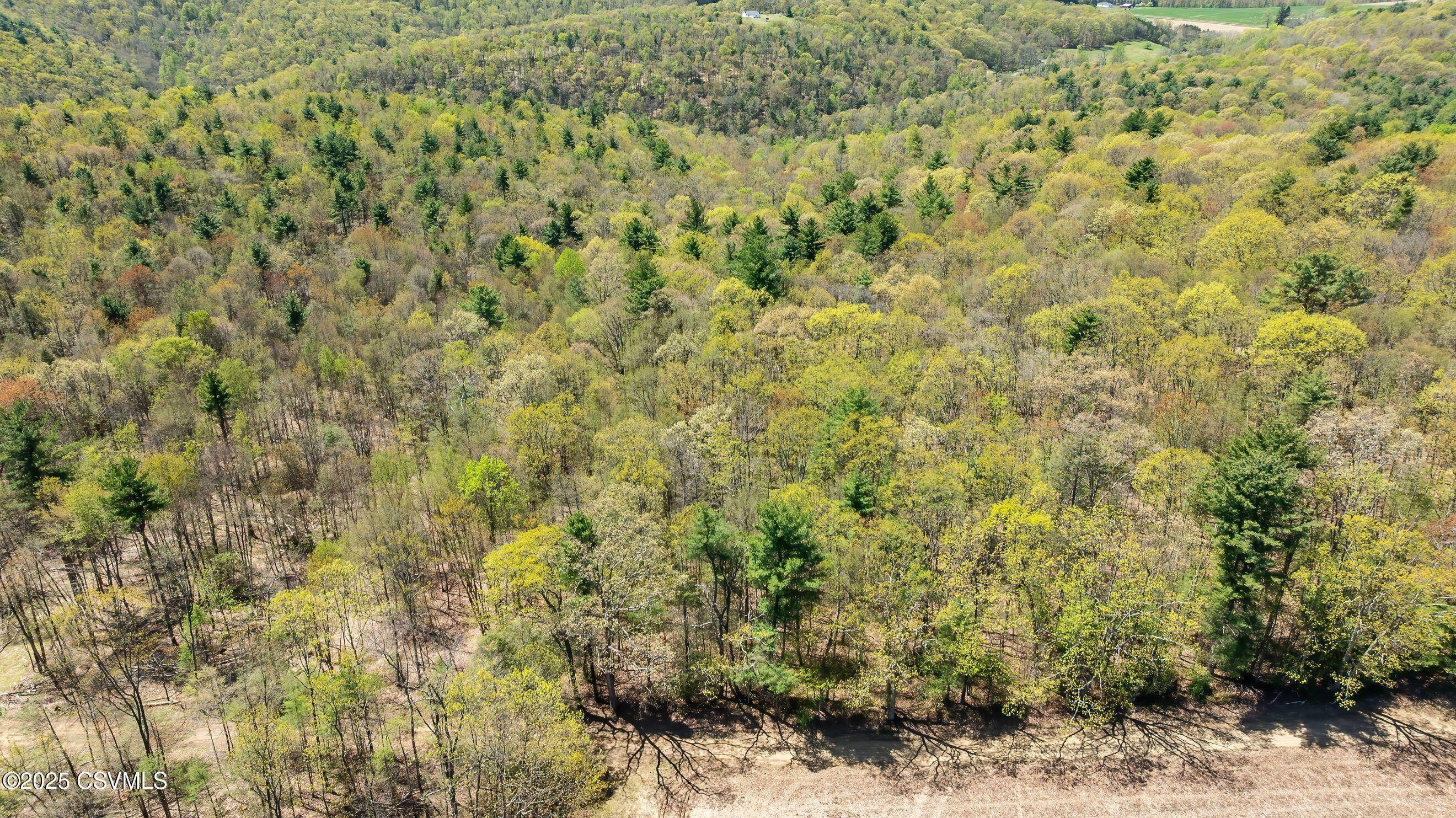 Property Photo: Lot 2 Patton Hill Road PA 17846
