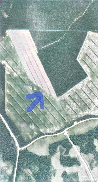 Property Photo:  61 Acres Crown Land  NB E1X 2M8 