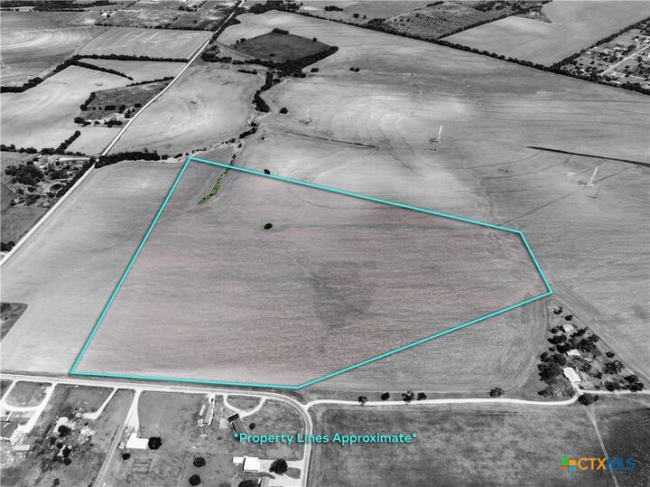 Property Photo:  1453 Willow Road  TX 76501 