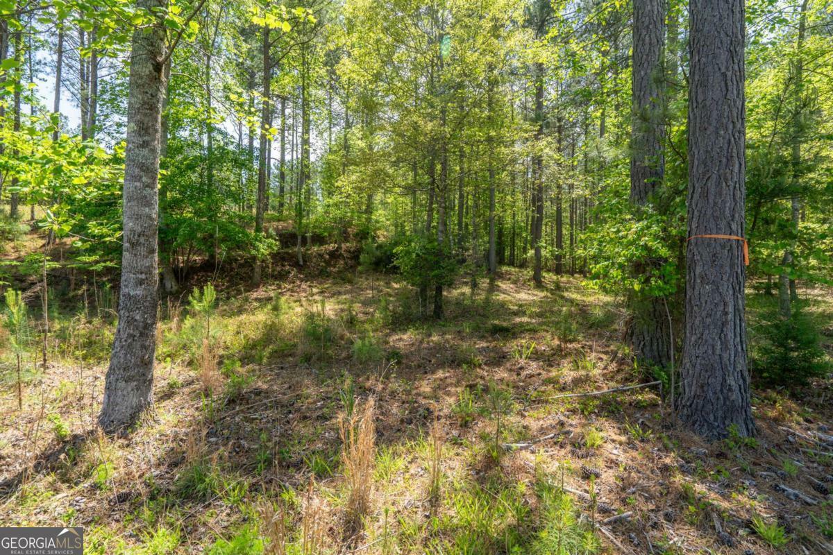 Property Photo: Lot 132 Sandy Lake Lane GA 30512