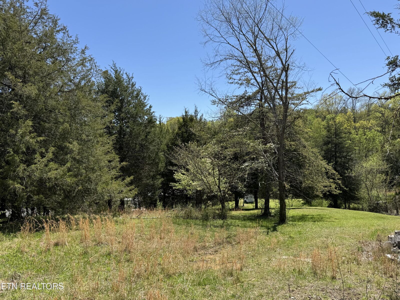 Property Photo:  000 Launch  TN 37713 