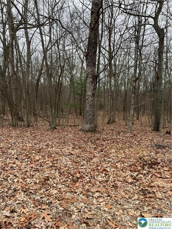 Property Photo: 102 Heavenly Valley Drive PA 18464