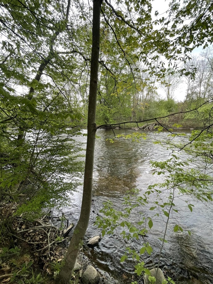 Property Photo: Unit 4 S Branch Lane MI 49421-4942