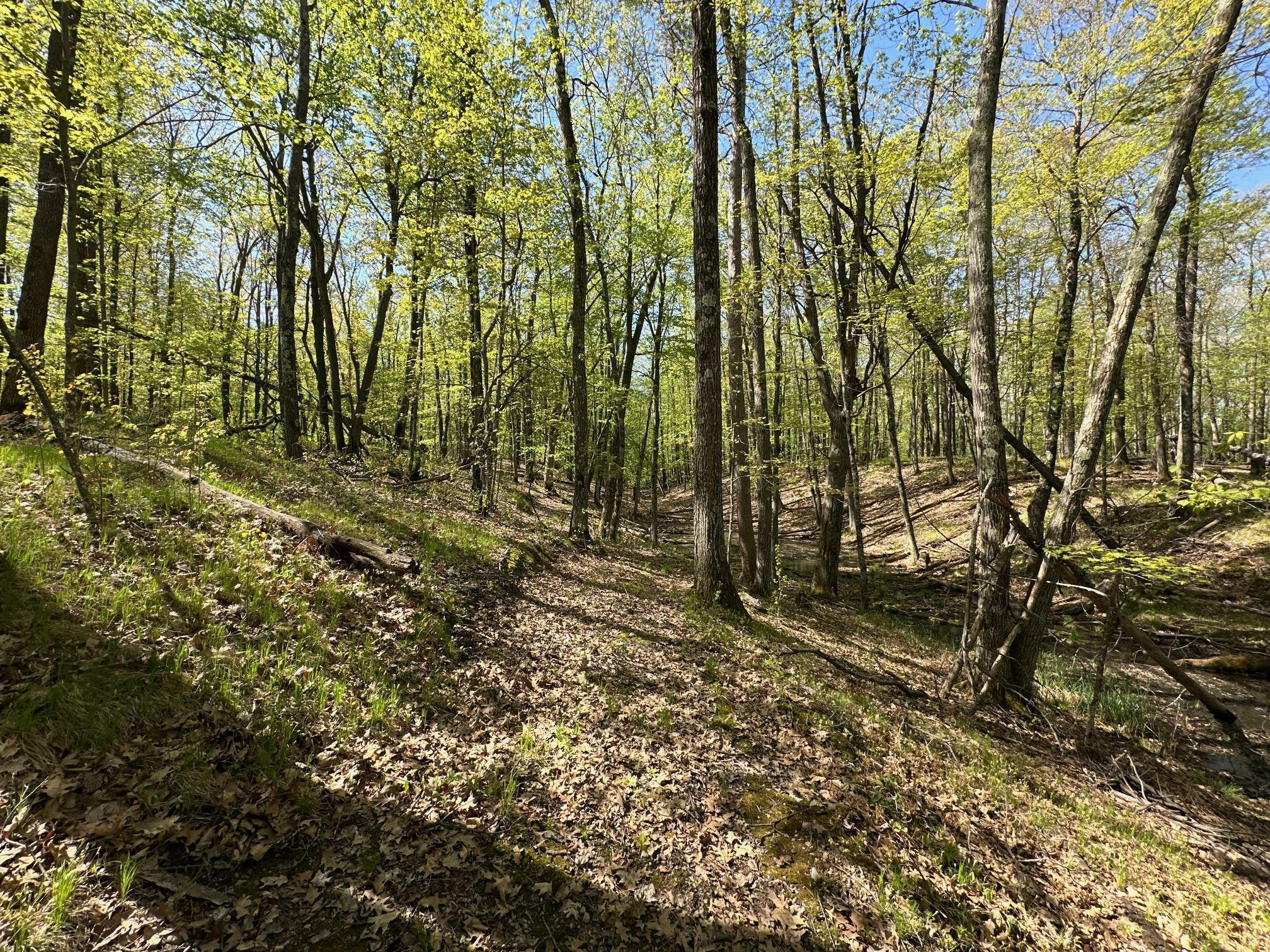 Property Photo:  Xw Tamarac Road  MN 56359 
