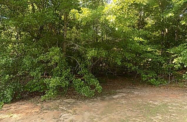 Property Photo: 116 Grand Oaks Court AL 36303