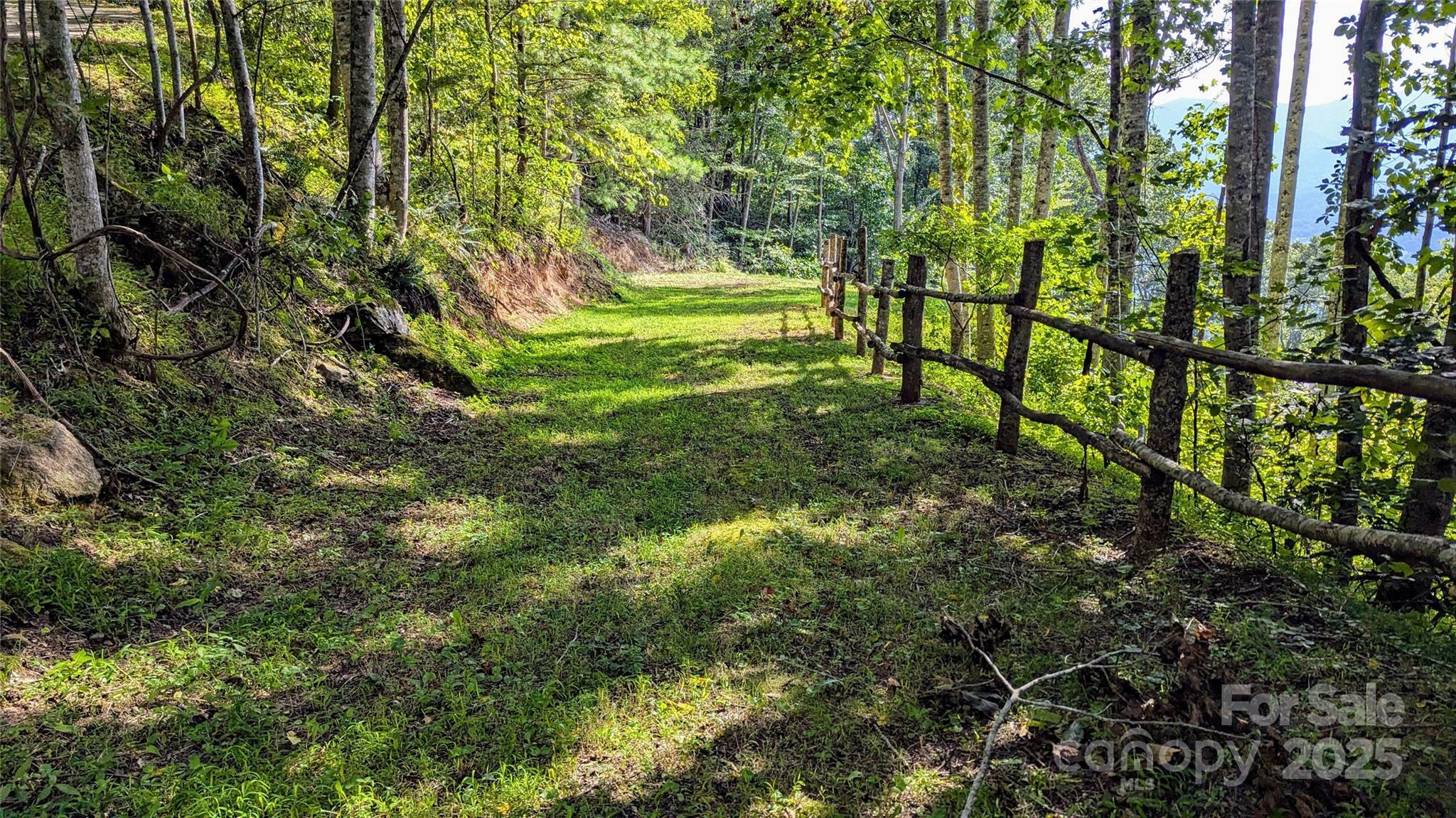 Property Photo:  394 Aubrey Trail  NC 28785 